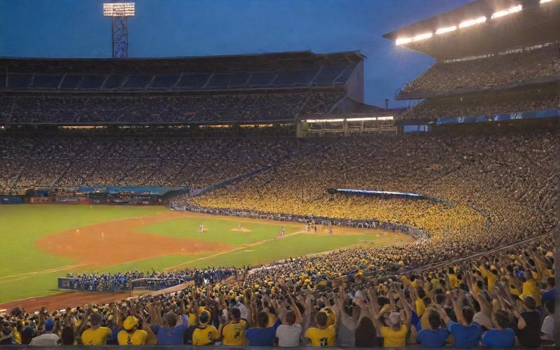 Banana Ball Explodes: 2 Million Fans, Stadiums Sell Out