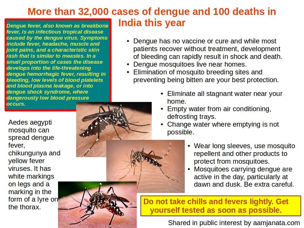Cook Islands Dengue Fever Cases Rise to Four
