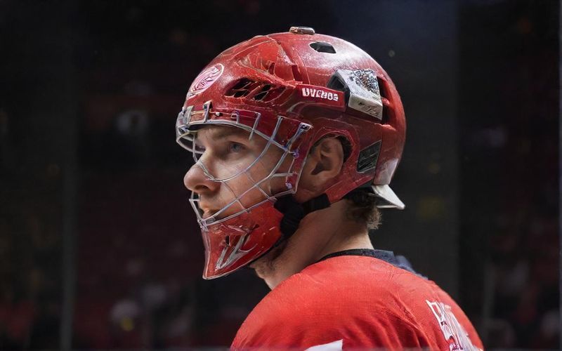 Gibson Faces Ducks: Red Wings Road Trip Tested