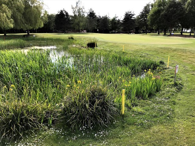 Golf Courses Linked to Higher Parkinson's Risk