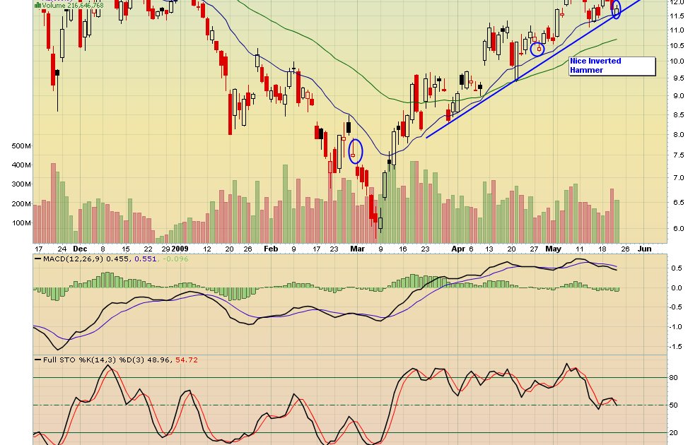 MEXC Opens BLUM Pre-Market Trading Today